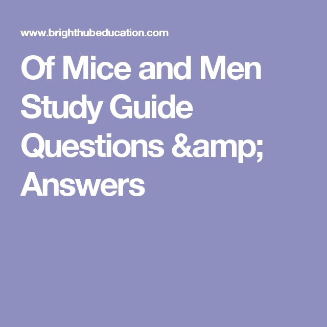 essay questions of mice and men