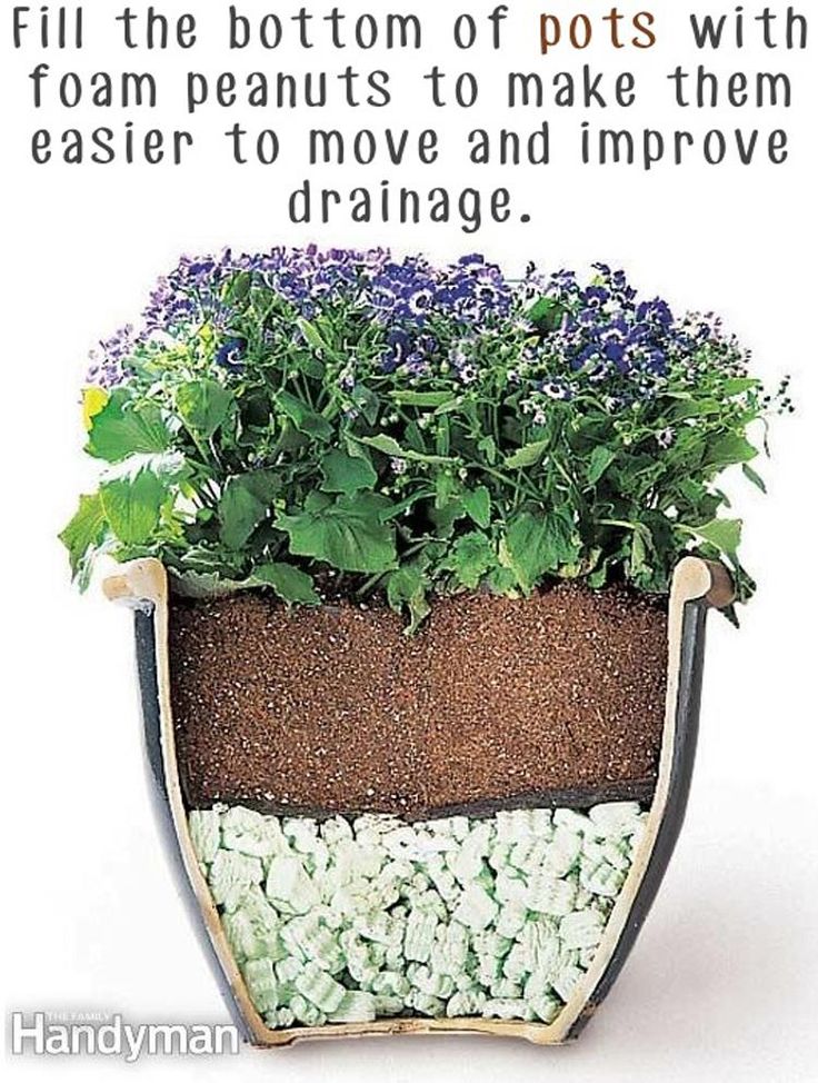 Herb Garden Ideas For A Balcony best 25+ gardening hacks ideas on pinterest | organic gardening Herb Garden Ideas For A Balcony best 25+ gardening hacks ideas on pinterest | organic gardening