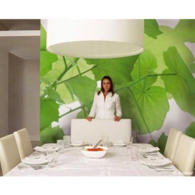 Feng Shui Health 299 best feng shui images on pinterest | feng shui, feng shui tips Feng Shui Health 299 best feng shui images on pinterest | feng shui, feng shui tips