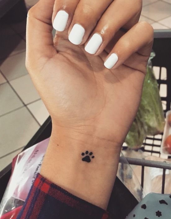 25 unique cat paw print ideas on pinterest loss of cat quotes 25 unique cat paw print ideas on pinterest loss of cat quotes
