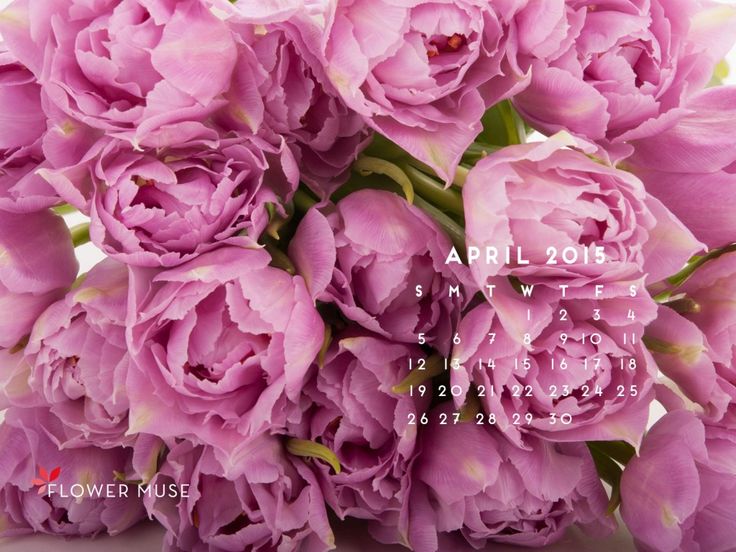 Desktop Calendar April 2017 Desktop Calendar April 2017