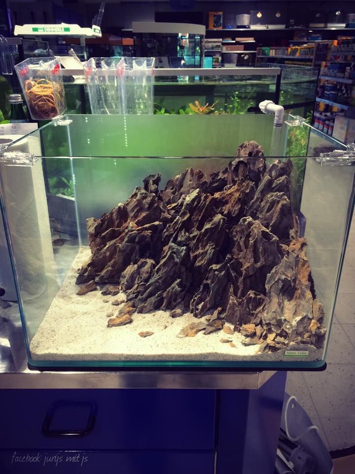 hardscape dragon stones by