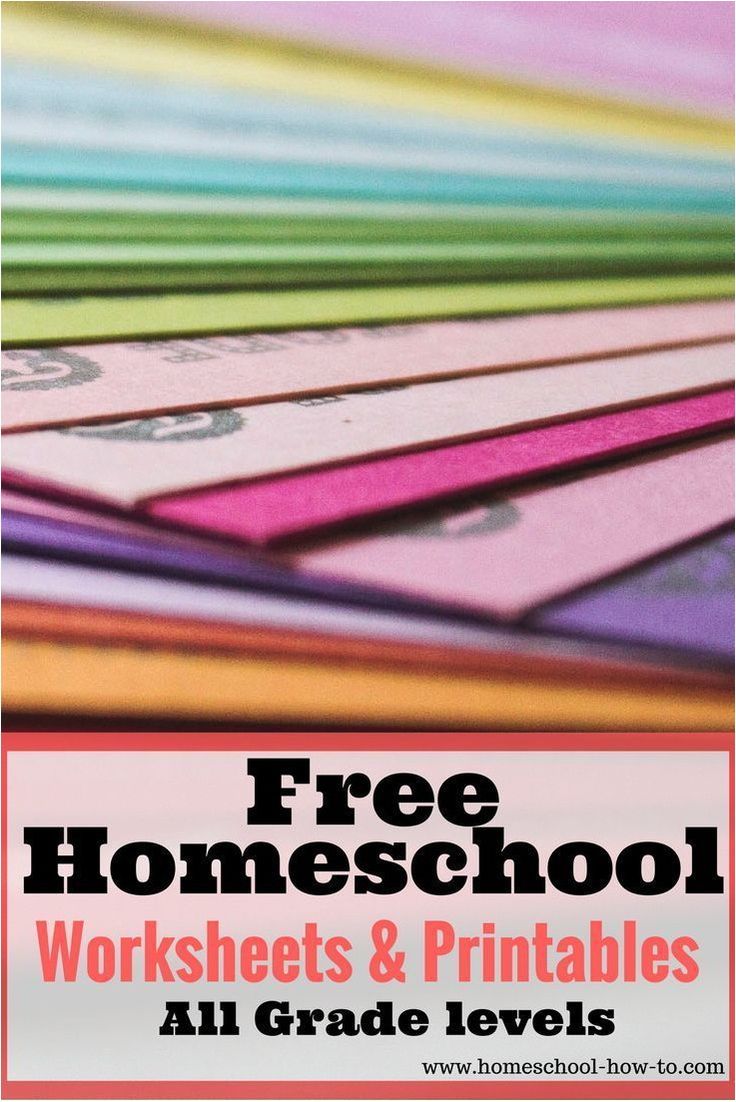 Homeschooling 101 Everything You Need To Know Homeschooling Homeschooling 101 Everything You Need To Know Homeschooling