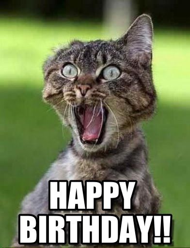 best 25 cat happy birthday meme ideas on pinterest happy 70118a2a33ee01a55769308d55747e48 funny shit funny stuff best 25 cat happy birthday meme ideas on pinterest happy,Happy Birthday Cartoon Meme