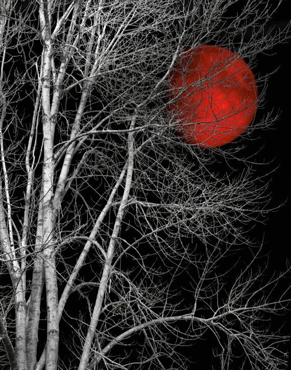 Black White Tree Red Moon Wall Art By Littlepiephotoart On Etsy A Black White Tree Red Moon Wall Art By Littlepiephotoart On Etsy A Few Of My Favorite Things Pinterest Purple And