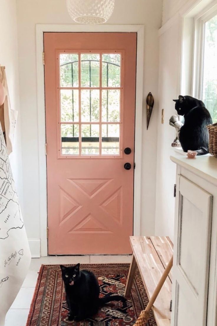 Home decor inspiration: Sustainable home decor that works as an air purifier #homedecor #sustainable Home decor inspiration: Sustainable home decor that works as an air purifier #homedecor #sustainable