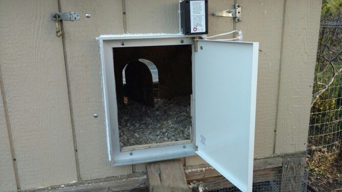 Solar powered automatic chicken door! | Automatic chicken door, Chicken