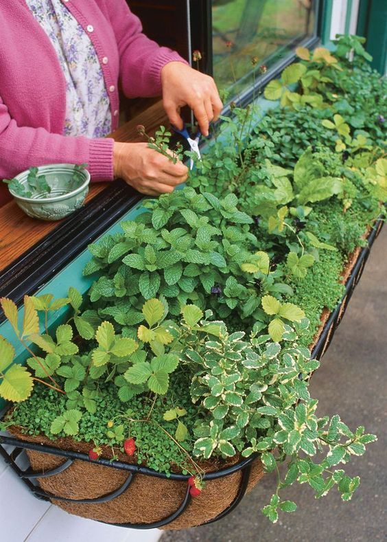 Herb Garden Ideas herb garden ideas bewhatwelove 9 Herb Garden Ideas How To Plant Herb Garden Ideas 9 herb garden ideas how to plant 9 Herb Garden Ideas How To Plant