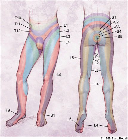 Natural Remedies For Degenerative Disk Back Pain Natural Remedies For Degenerative Disk Back Pain