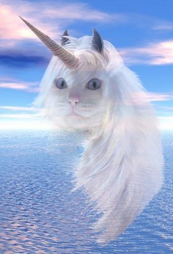 32 best Fat unicorns images on Pinterest Rainbow unicorn 32 best Fat unicorns images on Pinterest Rainbow unicorn
