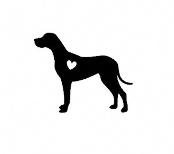 3 Glorious Great Danes Dog Ideas Wonderful Ideas About Dogs