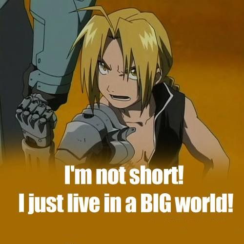 Fullmetal Alchemist Short Joke Just For You Em Dont Laugh Its My Answer To Anyone Who Is Stupid Enough To Me Short Fullmetal Alchemist Short Joke Just For You Em Dont Laugh Its My Answer To Anyone Who Is Stupid Enough To Me Short