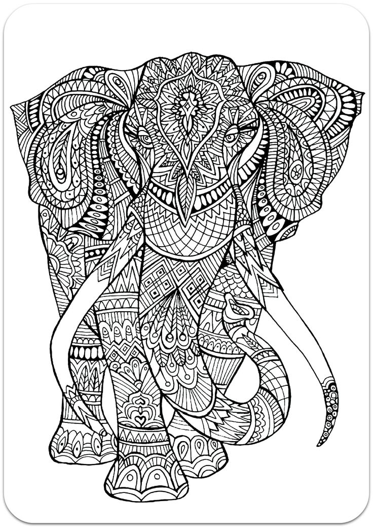 Disegno Di Compasso Da Colorare - Acolore.com