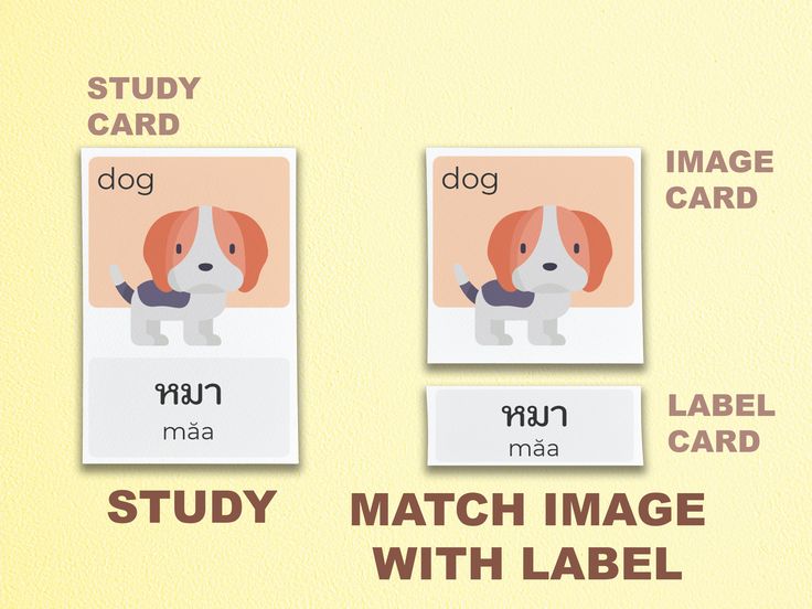Thai Printable Three part Flashcard Animal And Nature Set 40 Etsy Thai Printable Three part Flashcard Animal And Nature Set 40 Etsy