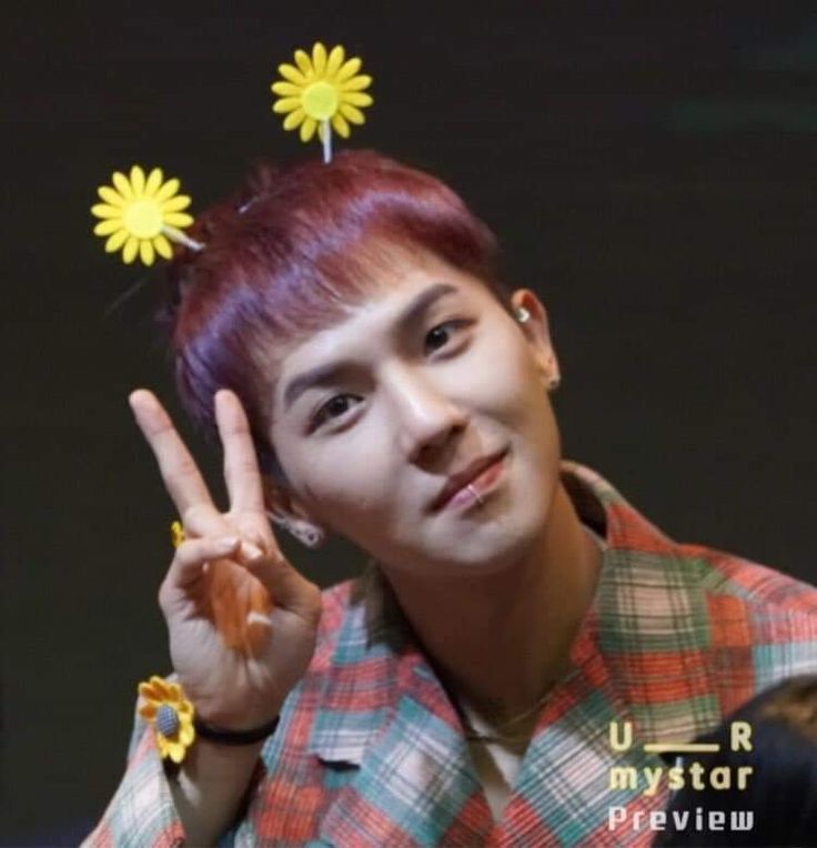 song minho song minho