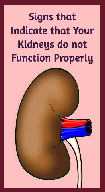 Signs That Your Kidneys Are Not Working Properly In 2020 Health signs-that-your-kidneys-are-not-working-properly-in-2020-health