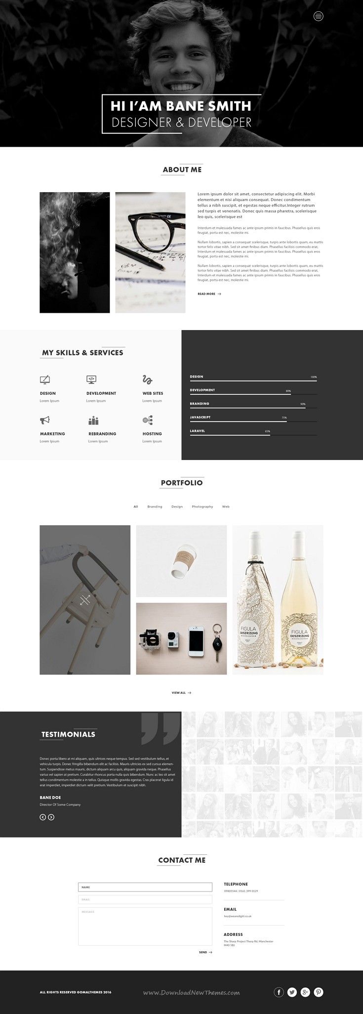 online resume portfolio examples