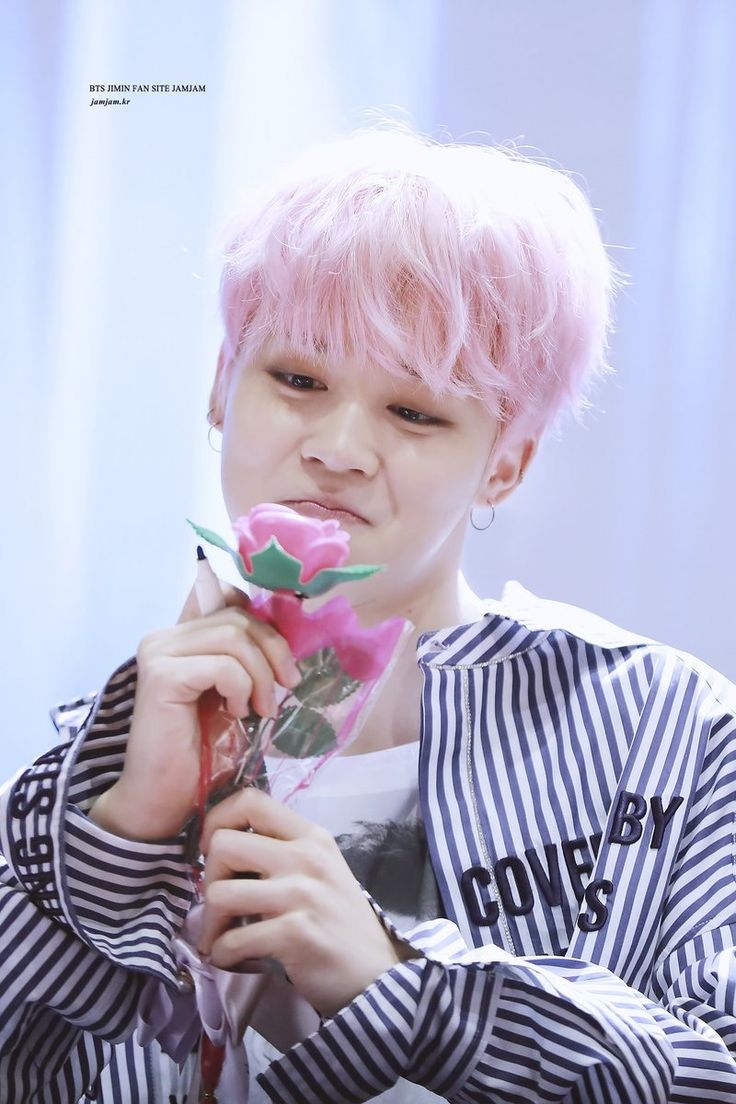 BTS – Park Jimin – Pink Hair | 2048