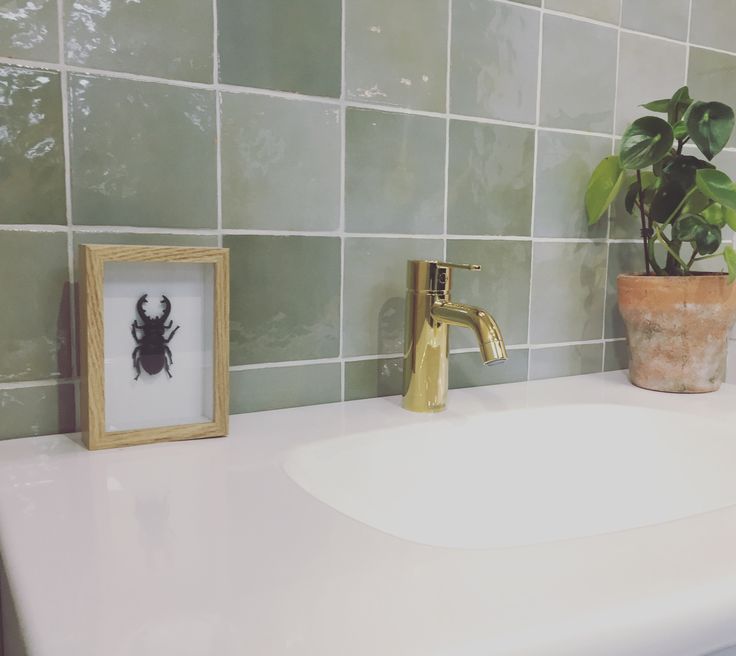 Wandtegel Groen 13x13 | Badkamer groen, Groene badkamer ...