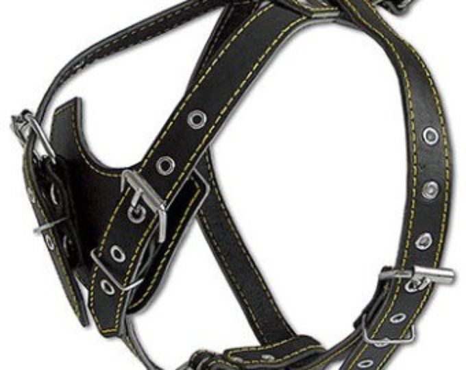 Real Leather Dog Harness 25 30 Chest Size 1 Wide Adjustable