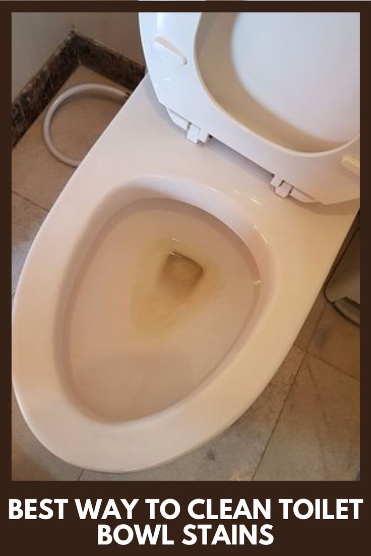 5 Best way to clean toilet bowl stains | Toilet bowl stains, Clean