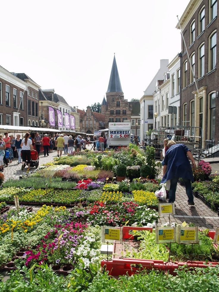 Dohazování Zutphen vs Nederland
