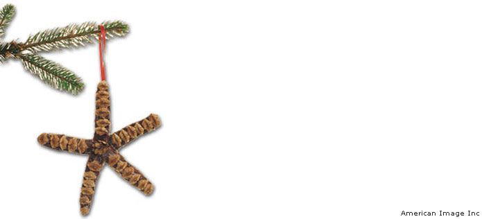 Make A Pinecone Starfish National Wildlife Federation Nature Kids Starfish National Wildlife Federation
