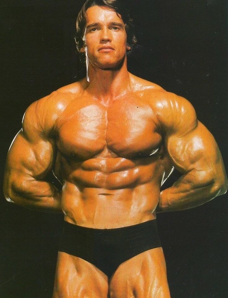 352 best Schwarnegger images on Pinterest Bodybuilding, Exercises - fresh arnold blueprint day 19 352 best Schwarnegger images on Pinterest Bodybuilding, Exercises - fresh arnold blueprint day 19