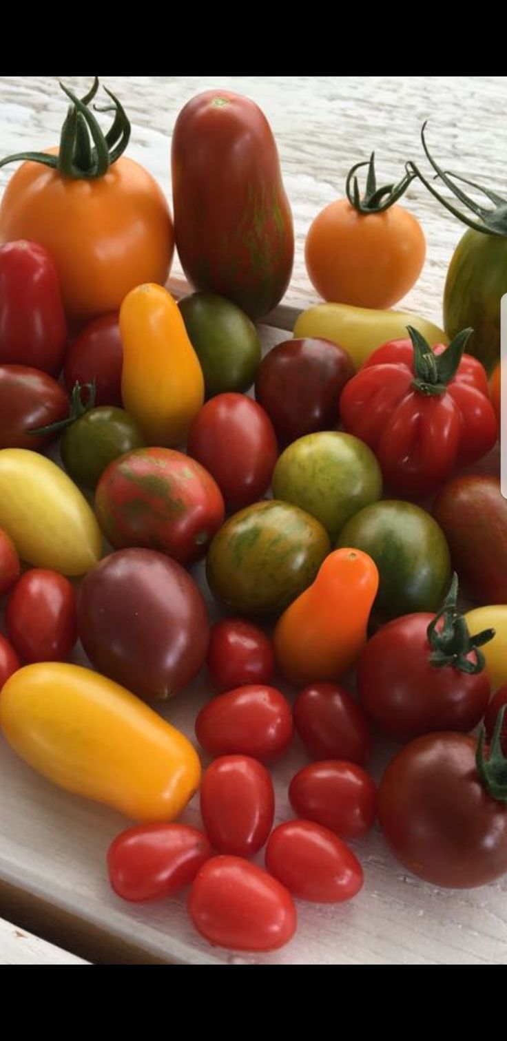 Colors Stuffed Peppers Beef Steak Tomato colors-stuffed-peppers-beef-steak-tomato
