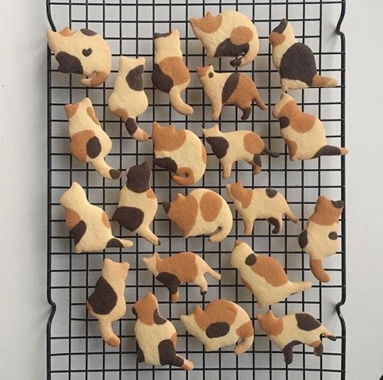 Tumblr Pretty food, Love food, Aesthetic food Tumblr Pretty food, Love food, Aesthetic food