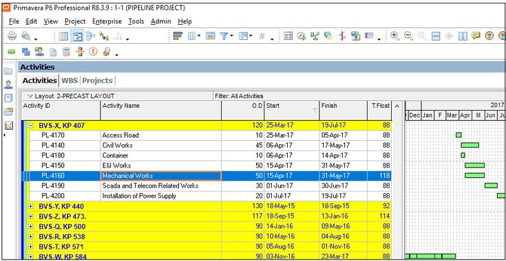 Primavera P6 Custom Activity Bars PRIMAVERA P6 Pinterest - procurement tracking spreadsheet Primavera P6 Custom Activity Bars PRIMAVERA P6 Pinterest - procurement tracking spreadsheet