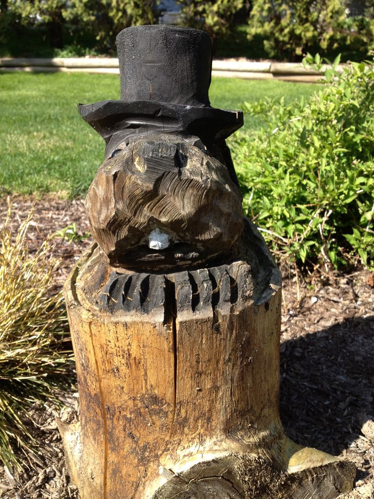 Everyday is Groundhog Day in this yard. Groundhog day