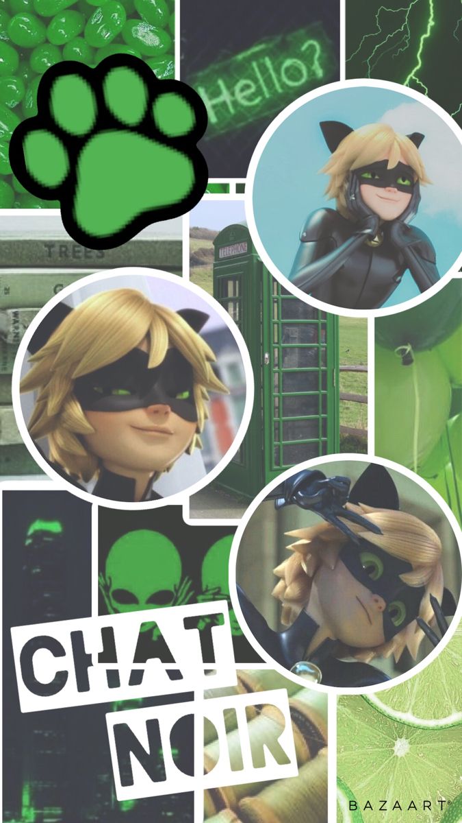 Featured image of post Chat Noir Aesthetic Wallpaper Collage