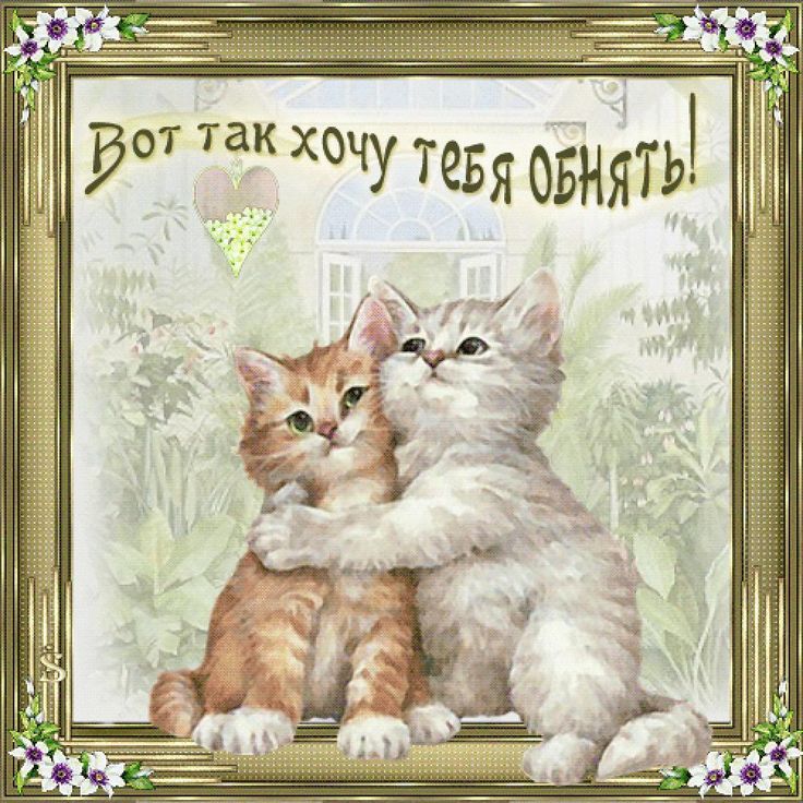 Картинки хочешь меня обнять, папе дочки картинках