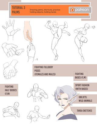 71 best Anime Anatomy images on Pinterest | Drawing tutorials; Manga