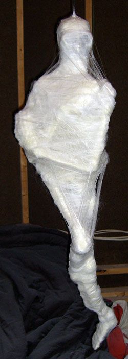 spider victim prop do it yourself add a big posable spider too sooo doing this for halloween this year - Do It Yourself Halloween Decorations For The Yard spider victim prop do it yourself add a big posable spider too sooo doing this for halloween this year - Do It Yourself Halloween Decorations For The Yard