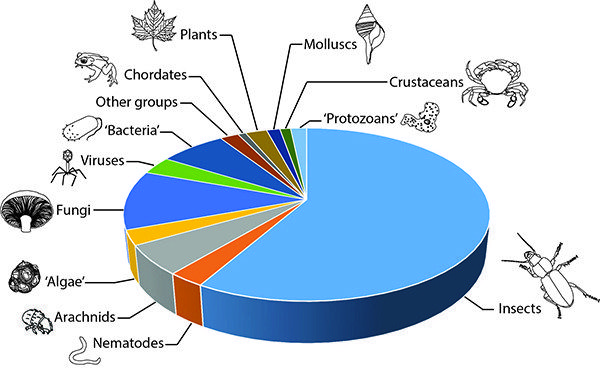 Figure 1 u2014 Pie chart showing estimated proportions of different - electrical pie chart Figure 1 u2014 Pie chart showing estimated proportions of different - electrical pie chart