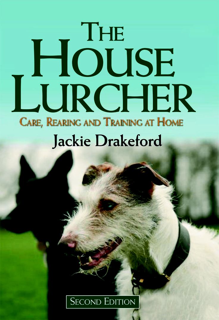 Jackie Drakeford Dog Training Jackie Drakeford Dog Training