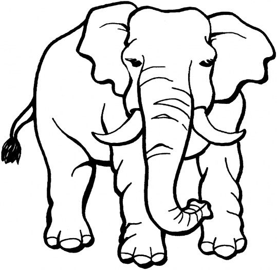 templates for animals
