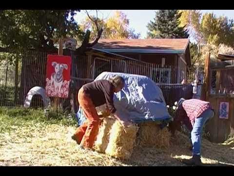 BUILD A STRAW BALE HOUSE FOR YOUR DOG IN TWO MINUTES