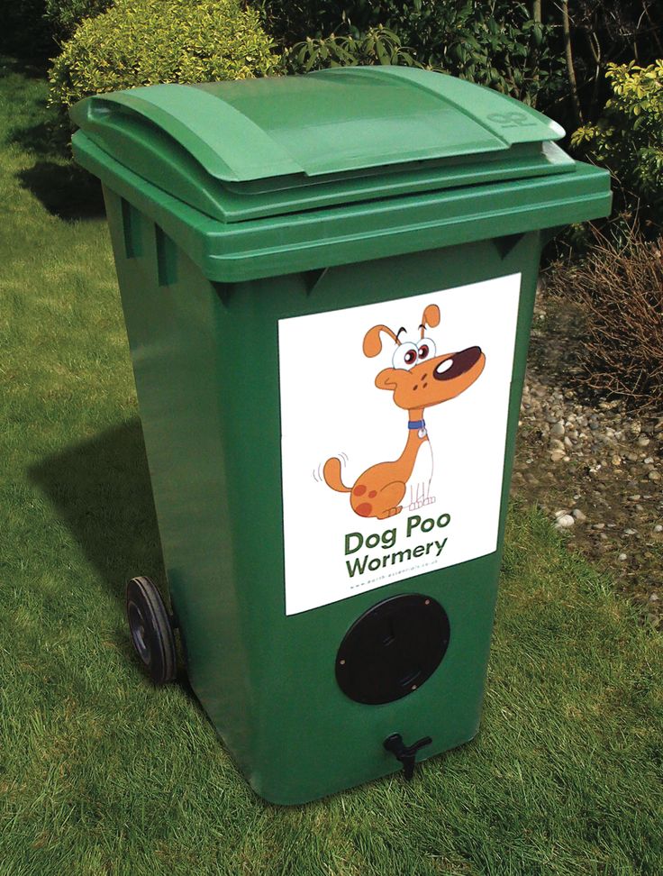 Best Way To Get Dried Dog Poop Out Of Carpet Best Way To Get Dried Dog Poop Out Of Carpet