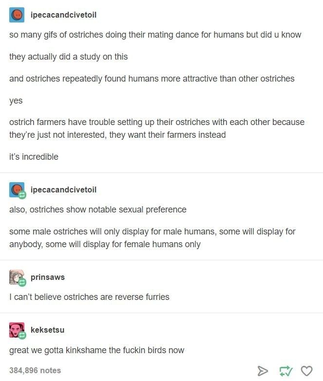 flirting signs texting memes quotes tumblr flirting signs texting memes quotes tumblr