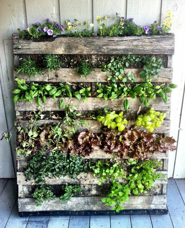 25+ Cool Pallet Compost Bins Ideas On Pinterest Composting Bins 25+ cool Pallet compost bins ideas on Pinterest | Composting bins, Diy compost bin and Outdoor compost bin - 25+ Cool Pallet Compost Bins Ideas On Pinterest Composting Bins