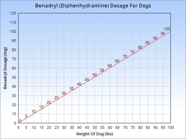 Benadryl Dosage For Dogs For Anxiety