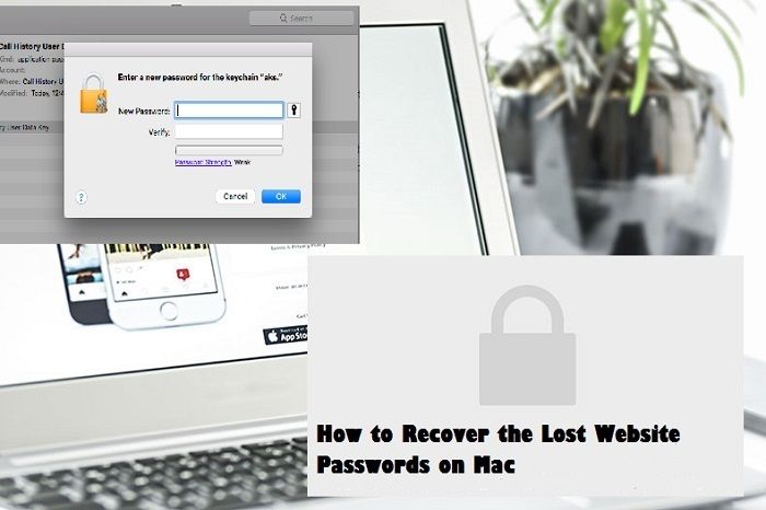 How to Recover the Lost Website Passwords on Mac Saved passwords How to Recover the Lost Website Passwords on Mac Saved passwords