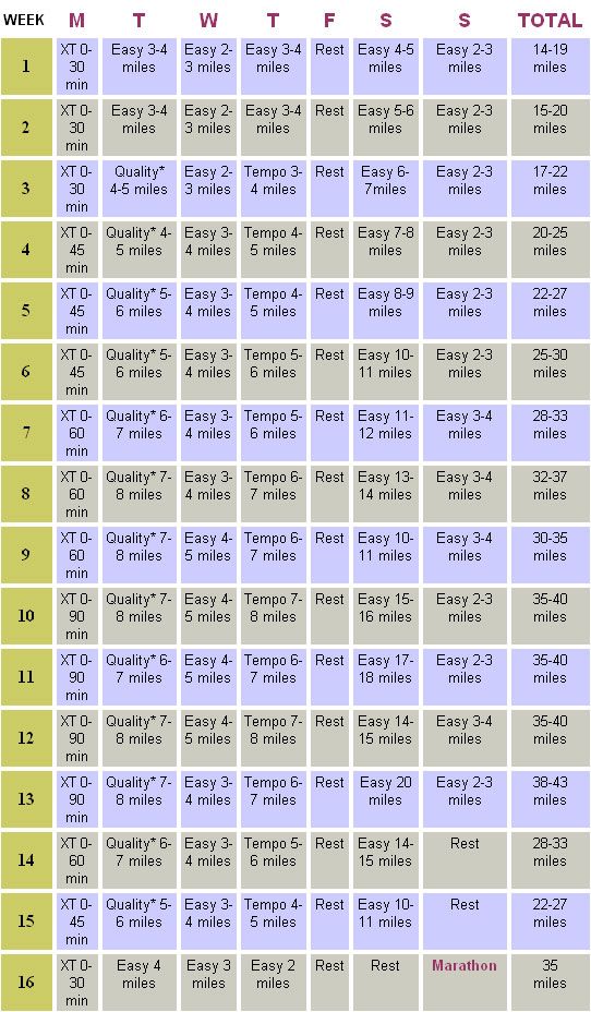 workout plan creator