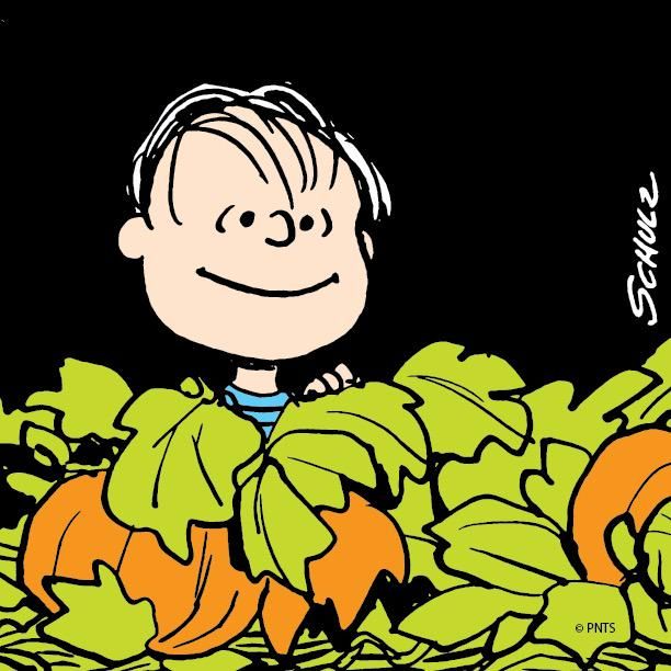 linus waiting for the great pumpkin find this pin and more on peanuts halloween - Charlie Brown Halloween Cartoon linus waiting for the great pumpkin find this pin and more on peanuts halloween - Charlie Brown Halloween Cartoon