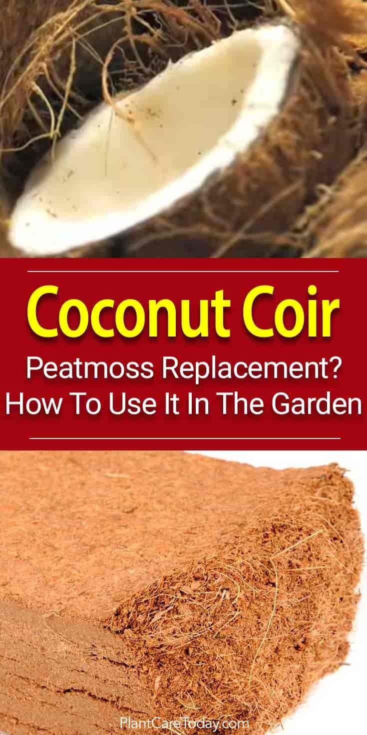 coconut coir what is coco coir and how to use it in the garden garden soil potting soil organic gardening coconut tree removal on coconut coir what is coco coir and how to use it in the garden garden soil potting soil organic gardening garden soil potting soil