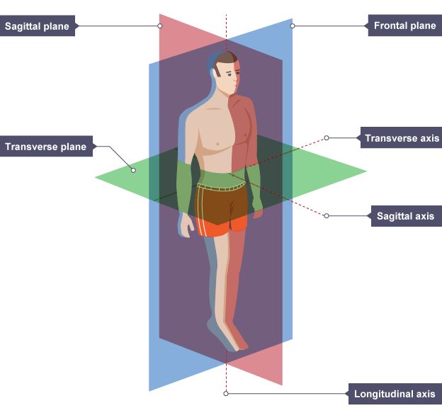 Planes And Axes Of Movement Movement Analysis In Sport AQA GCSE movement-analysis