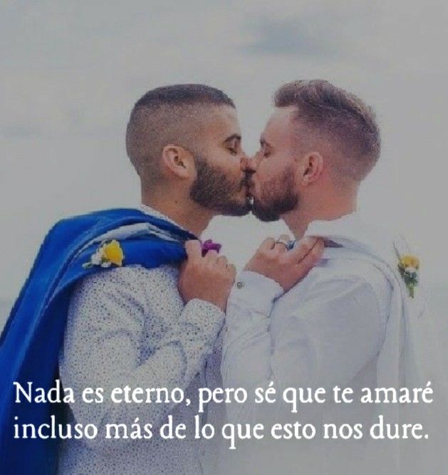 Partnersuche amor